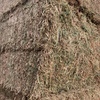 Vetch Hay 670kg 8x4x3 Bales