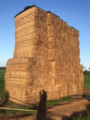 25mt Vetch Hay 500-550kg 8x4x3 Bales (1 x Single Load)