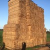 25mt Vetch Hay 500-550kg 8x4x3 Bales (1 x Single Load)