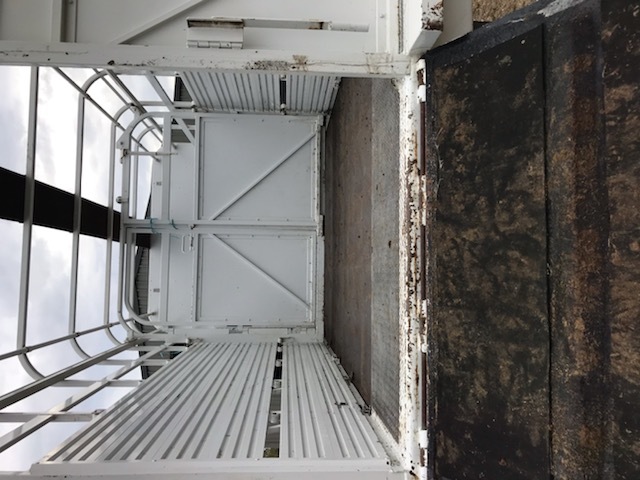 Isuzu FRR 550 dual cab tipper cattle horse truck