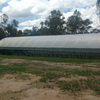 Greenhouses,(Polytunnels)