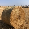 300 x Oaten Hay 5x4 Rolls
