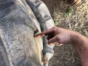 Goodyear DT812 Tyres