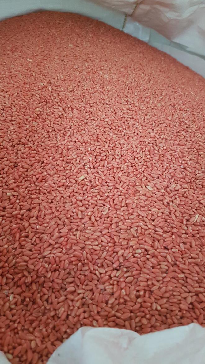 Hawkeye Seed Triticale 13 ton