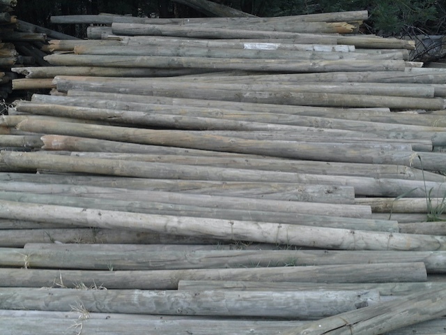 500 x 10ft x 4inch Pine Posts (Ex orchard trellis )