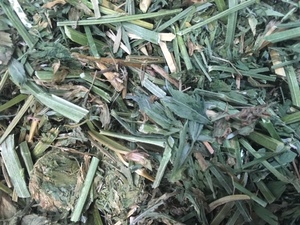 130 Rolls Lucerne Haylage - SOLD PER BALE