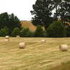 Round Hay Bales