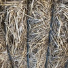 Wheaten Straw 445kg approx. 8x4x3 Bales- Irrigated 