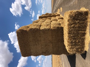 Wheaten Straw 640kg high density 8x4x3 Bales (350)