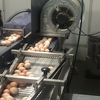 Moba 88 egg grader and washer