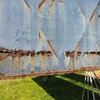 Under Auction - Cattle Crate 