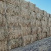 Oaten Hay $115 plus GST