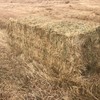 Under Auctyion - 496 Bales of - Balansa / Ryegrass 3x3x8