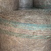 4X3 ROUNDS RHODES GRASS