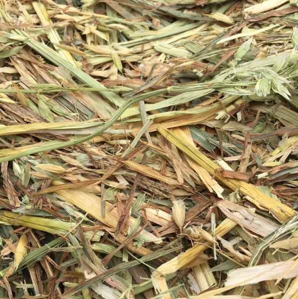 Oaten Hay 8x4x3