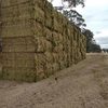 Balansa Clover & Balansa/Ryegrass Hay