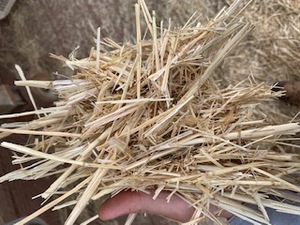 600tonne Quality Wheaten Straw