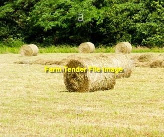 100 x Burgundy Bean 4x3 Round Bales