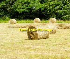 100 x Burgundy Bean 4x3 Round Bales