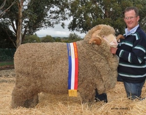 Loddon Valley District STUD MERINO Field Day Friday 26th of February 2021