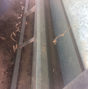 PATON SF24 lick feeder for sale