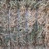 Wheaten Hay - 250 Bales