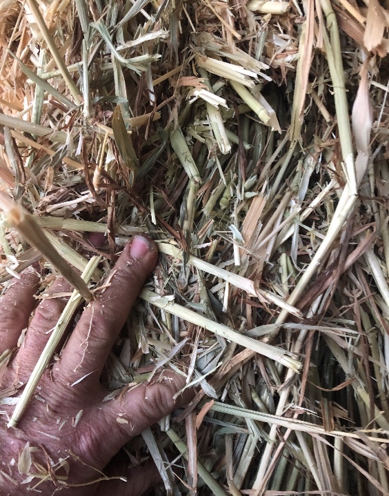 35mt Oaten Hay 575kg 8x4x3 Bales