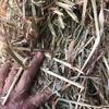 35mt Oaten Hay 575kg 8x4x3 Bales