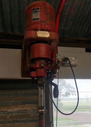 2x Sunbeam Shearing Plants