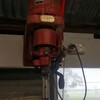 2x Sunbeam Shearing Plants