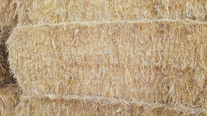 Organic oaten/ryegrass hay.