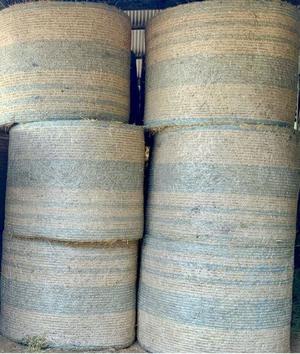 Oaten Hay 5x4 Round Bales (New Season) Weed Free