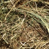 Pasture rolls