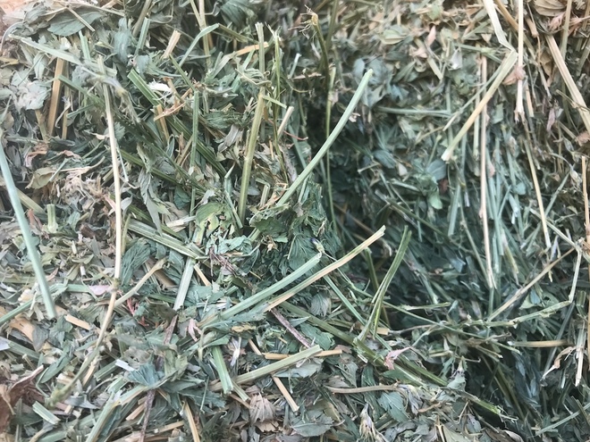 2000 Lucerne Hay Small Bales