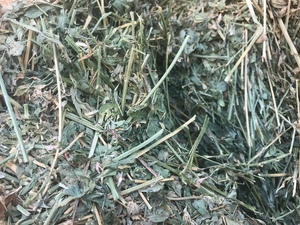 2000 Lucerne Hay Small Bales