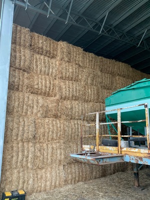 Wheaten Straw 8x4x3 Bales (19/20)