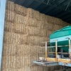 Wheaten Straw 8x4x3 Bales (19/20)
