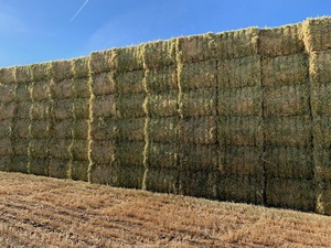 Oaten Hay 600kg 8x4x3 Bales