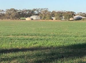 'Riverside' Cropping Farm on Avoca River