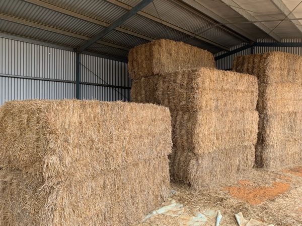 Wheaten Hay / Vetch Hay 8x4x3 Bales