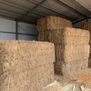 Wheaten Hay / Vetch Hay 8x4x3 Bales