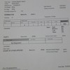 Hyola 559TT canola seed