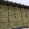 250mt Wheaten Hay 8x4x3 Bales