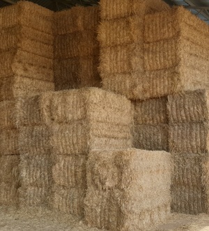 Wheaten Hay 8x4x3 Bales