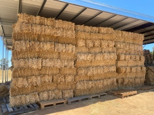 oaten hay