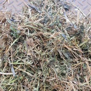 A1 Vetch/Balansa Hay