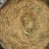 PASTURE (Meadow) HAY - Rolls - Horse Hay