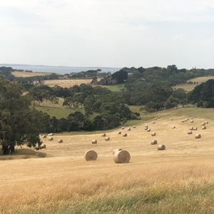 4x4 hay rounds (clean /improved)