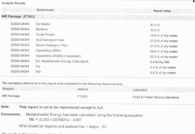 Balansa & Rye Pasture Hay 8x4x3 Bales