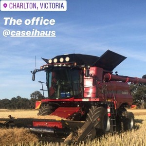 HARVESTING AVAILABLE 